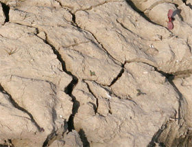 Dry Cracked Ground
