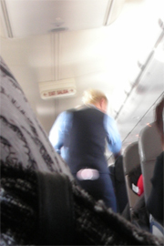 Picture of flight attendant with pink bunny tail